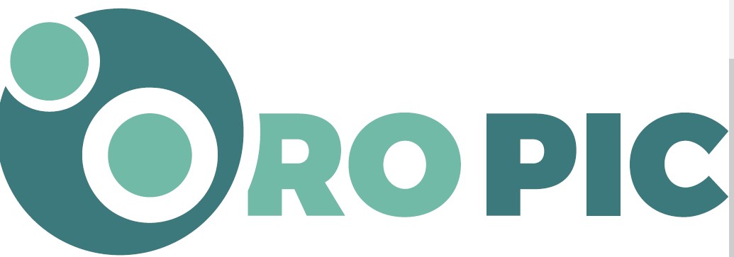 De ce să alegi ropic.ro pentru consultanță gratuită în angajarea cetățenilor străini